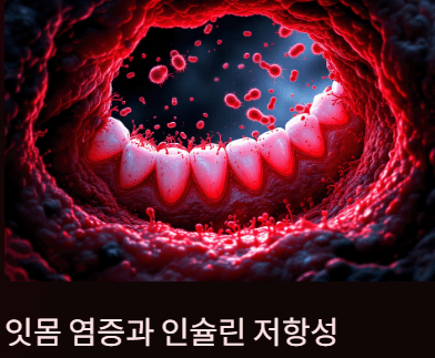 당뇨약 먹어도 혈당이 높다면? 인슐린 저항성? 해결방법