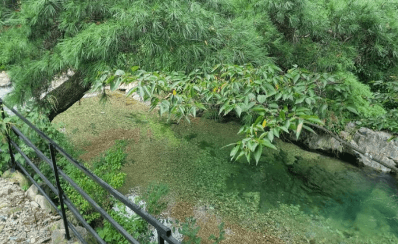 영암군 은천계곡