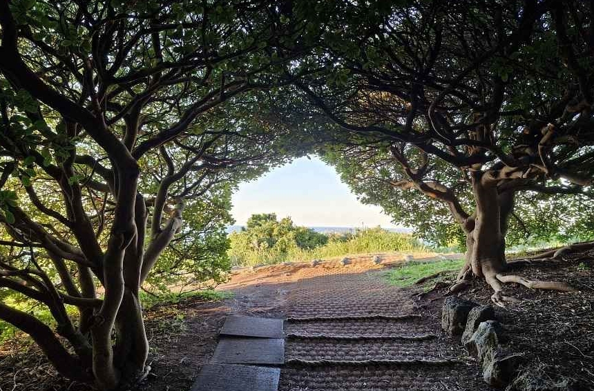 도두봉 키세스존