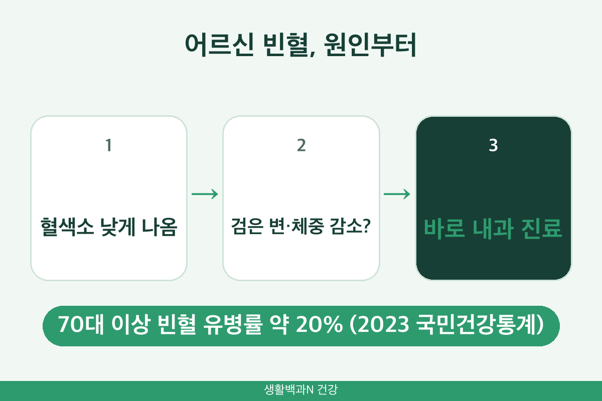 노인 빈혈 원인 위장관 출혈 검은 변 체중 감소 내과 진료 70대 유병률