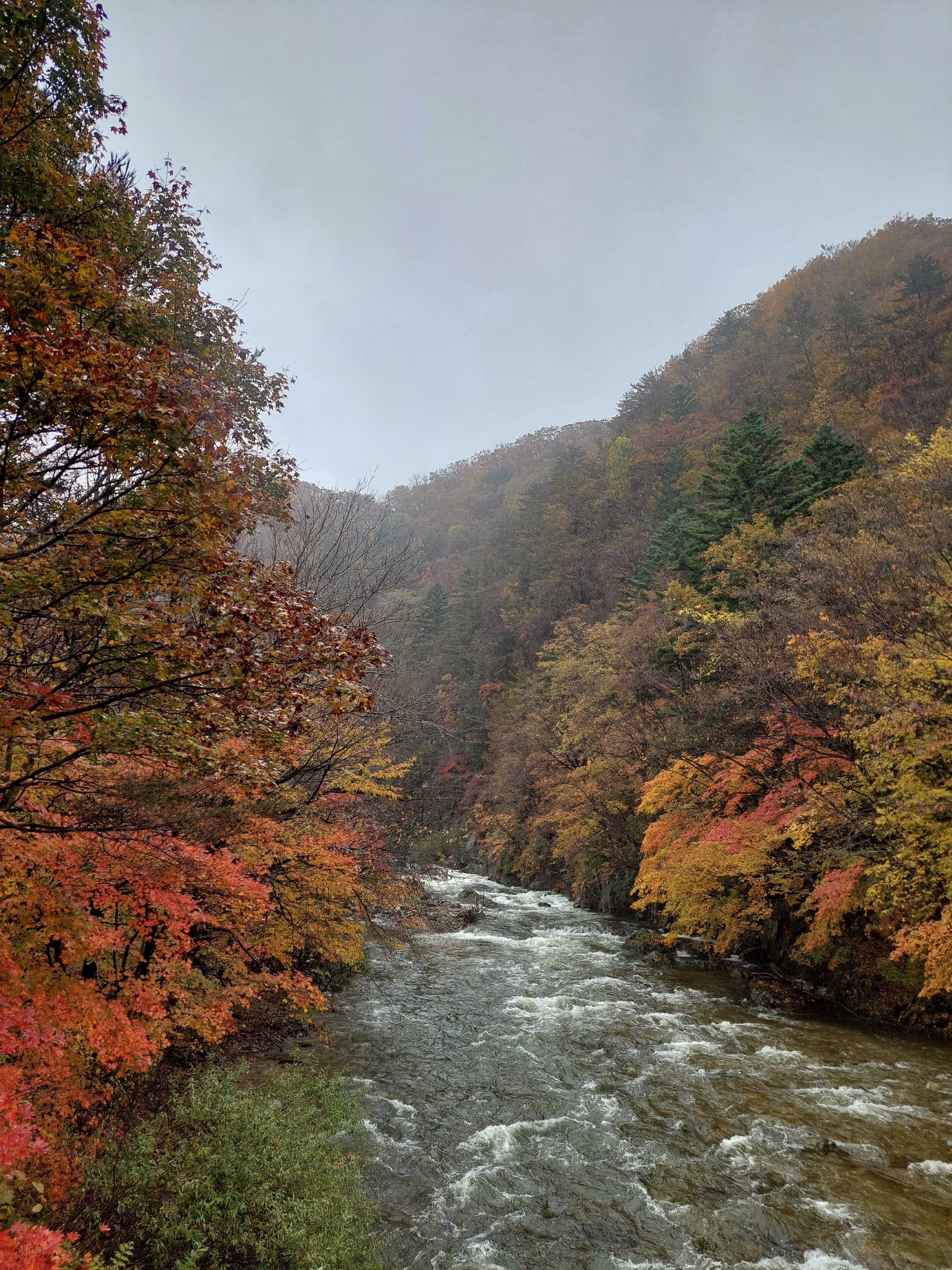 선재길