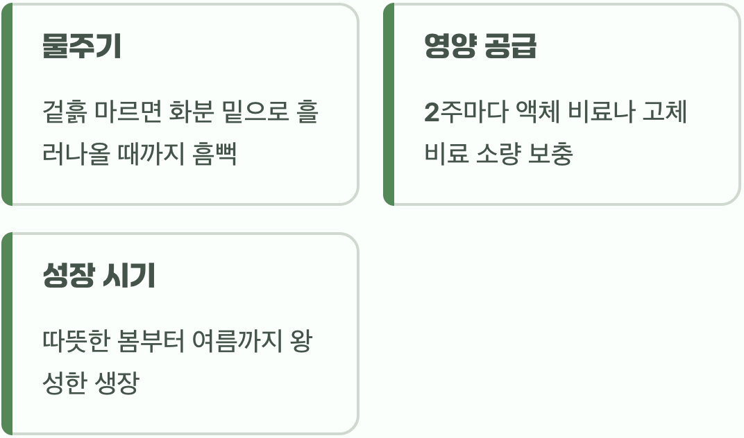 봄과 여름, 왕성한 성장의 계절