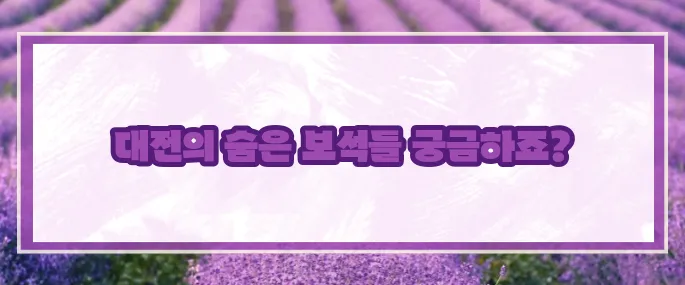 대전 가볼만한곳 베스트10 2025 (+핵심포인트)