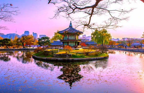 서울시 장애인 치과비용지원 21