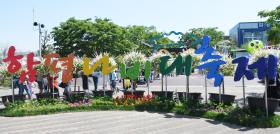 함평나비대축제