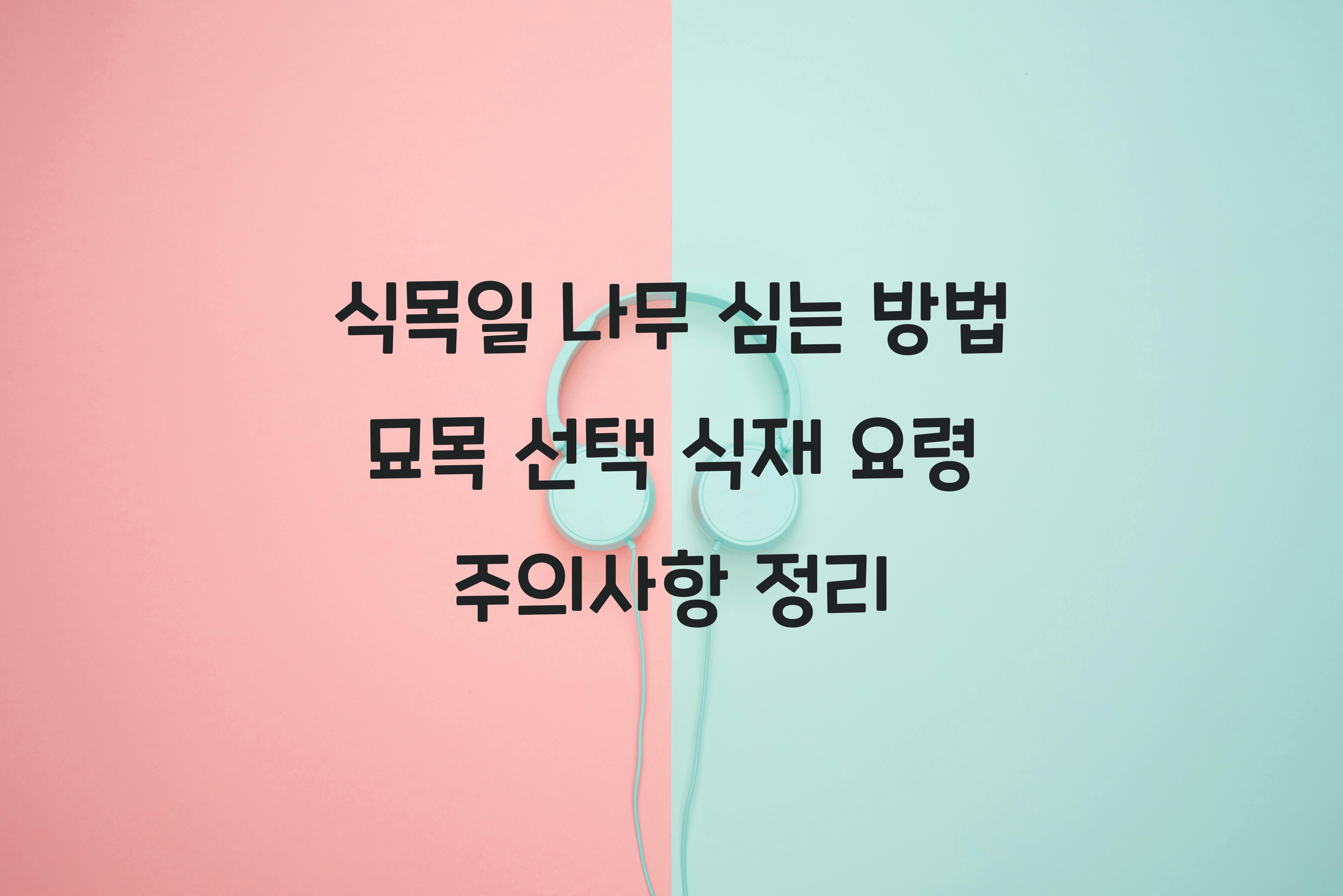 식목일 나무 심는 방법