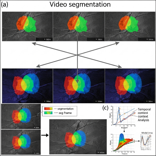 Video Segmentation: 시간 맥락을 고려한 프레임 처리
