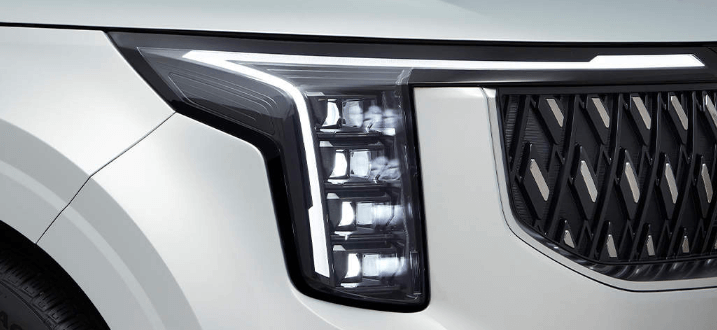 카니발 하이브리드