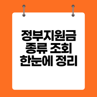 정부 지원금 종류 조회 방법 한눈에 정리