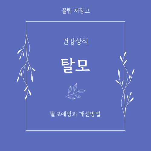 탈모샴푸추천