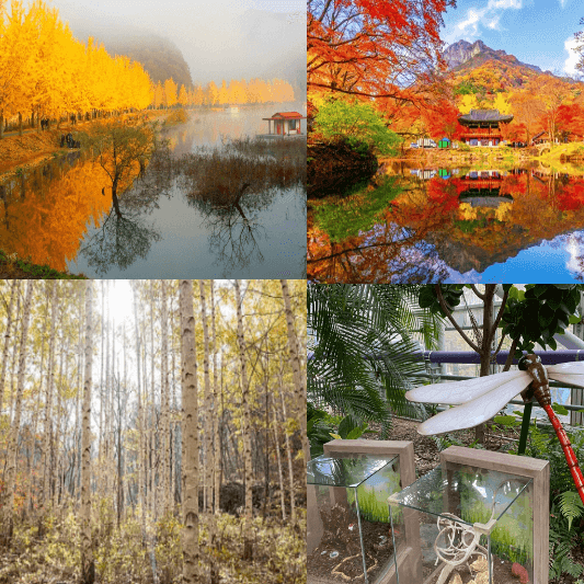 가을여행지추천-썸네일