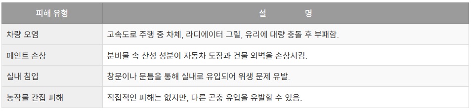 러브버그 발생 시기와 퇴치법 총정리 (2025년 최신 가이드)
