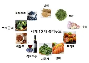 슈퍼푸드 종류 효능_6