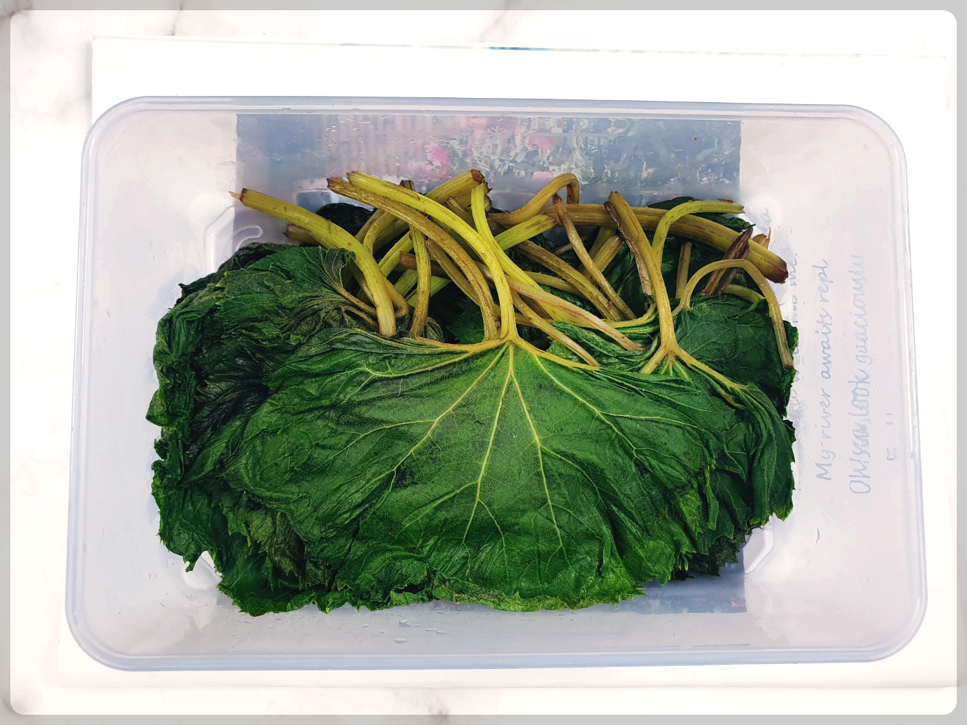 곰취장아찌 만드는법