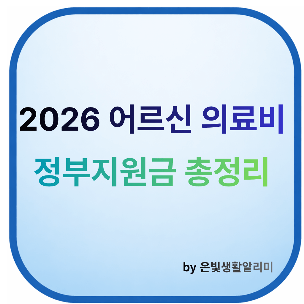 노인의료비정부지원금