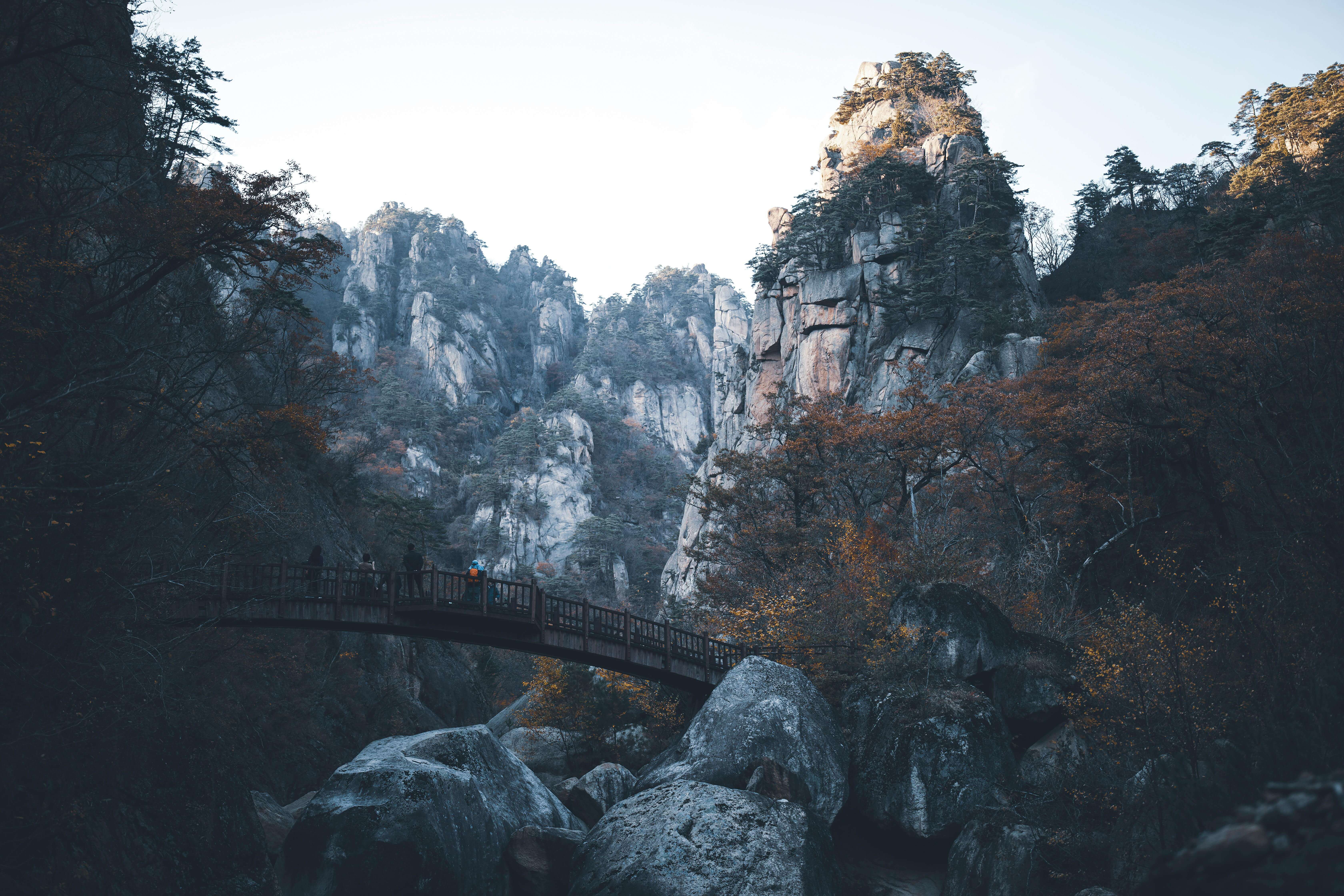 강원도 양양 관련 사진