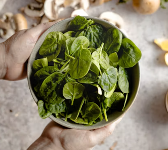 영양사에 대하여 알아보기