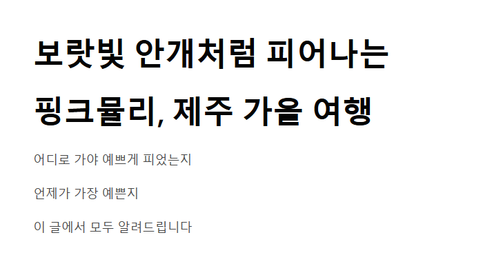 제주 핑크뮬리 축제&amp;#44; 가을 감성 느낌 100%