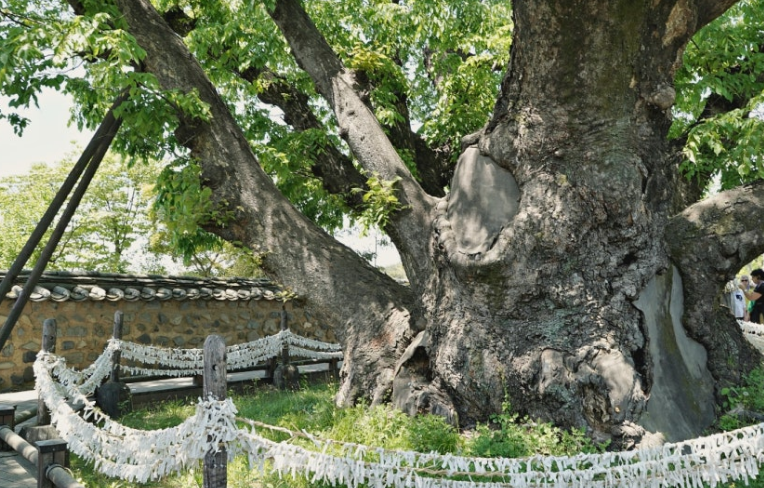 여름휴가 인기 좋은 여행지 7곳