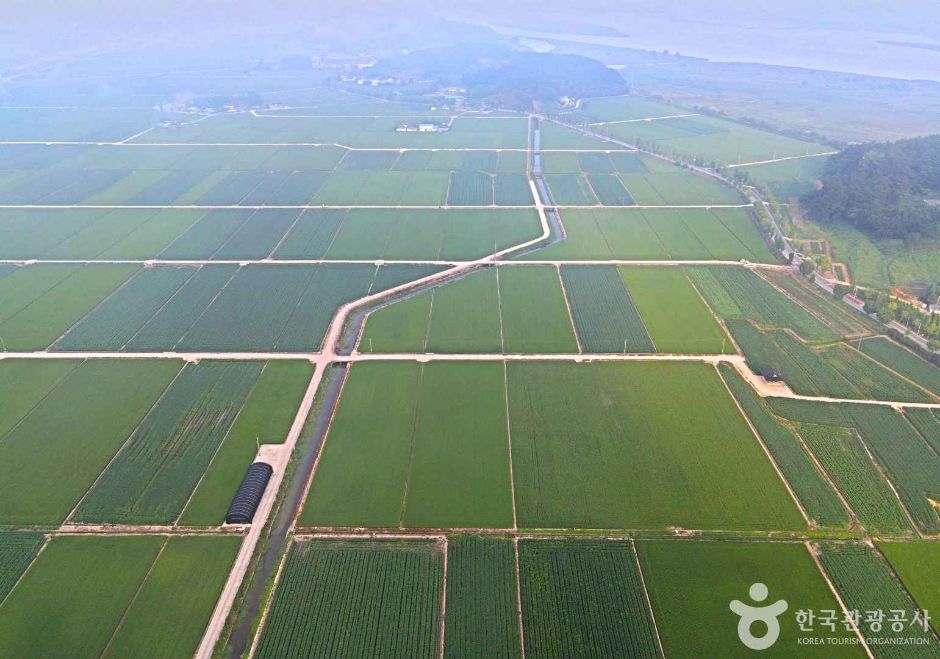 김제 가볼만한곳 베스트10