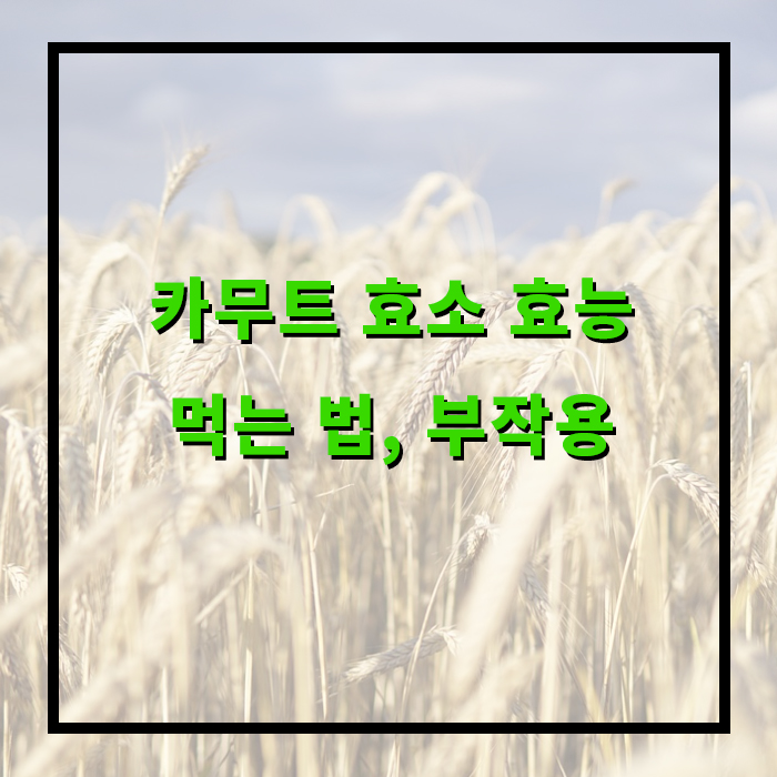 카무트 효소 효능, 먹는법, 부작용