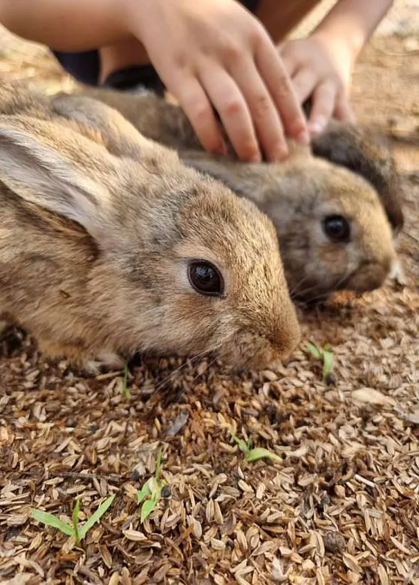 번덕뜰 체험농장