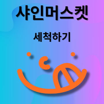 샤인머스켓 세척 방법