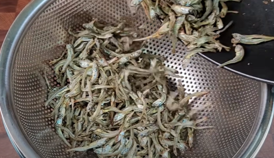 체에 걸러