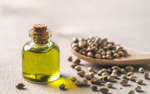 대마종자유 효능