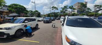 설명절-자동차-무상정검