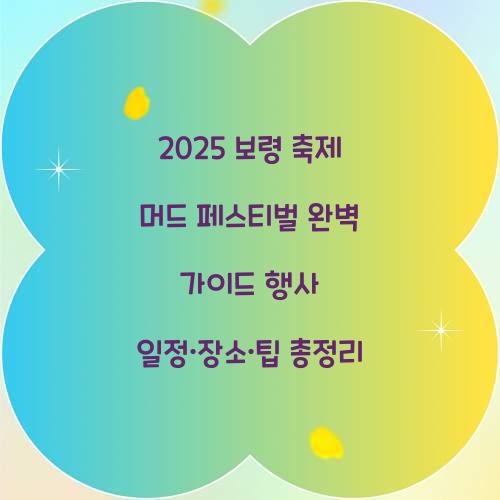 보령 축제 2025 머드 페스티벌