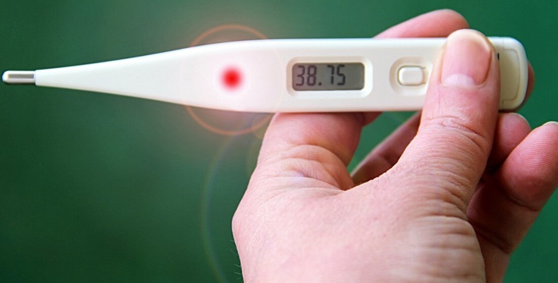 메타뉴모 바이러스 잠복기간