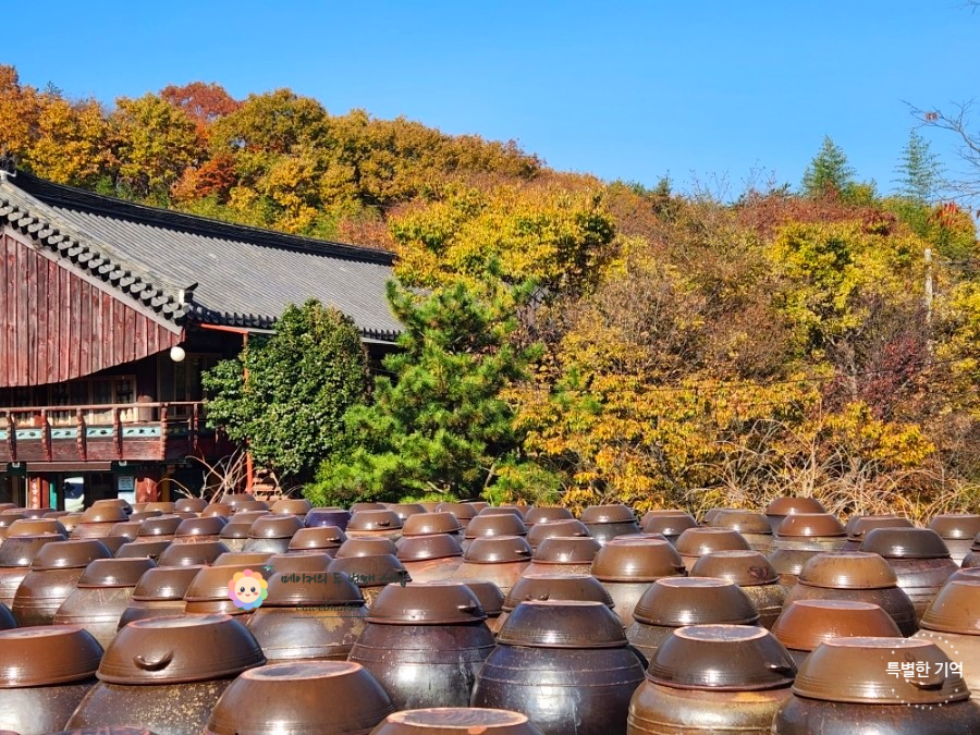 울산 경남 단풍 명소 2026