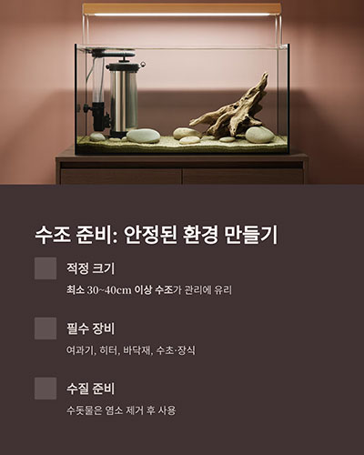 수조 준비: 작아도 안정된 환경이 핵심