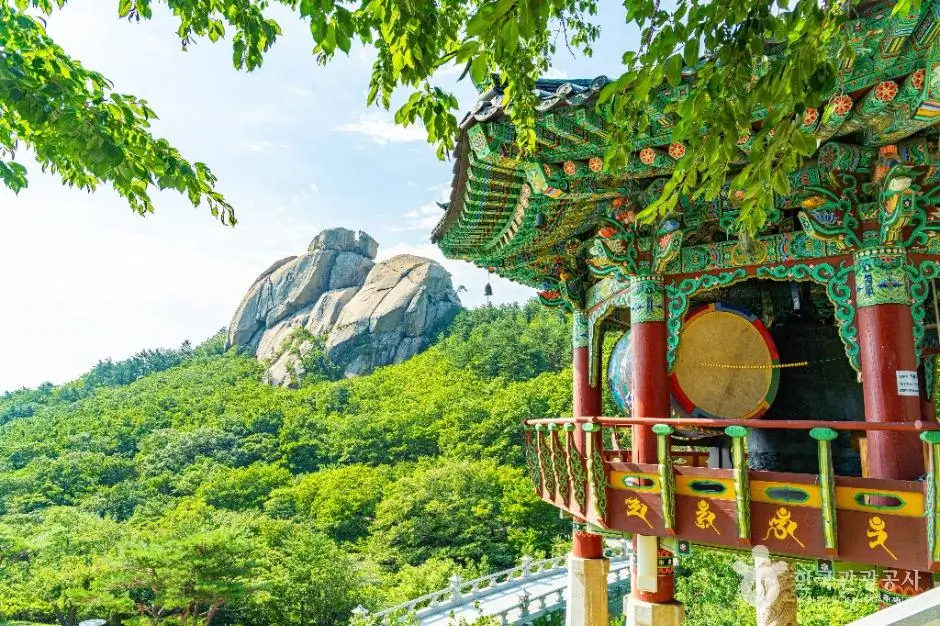 f66fece4-2be4-4528-80d9-bd93798452bc