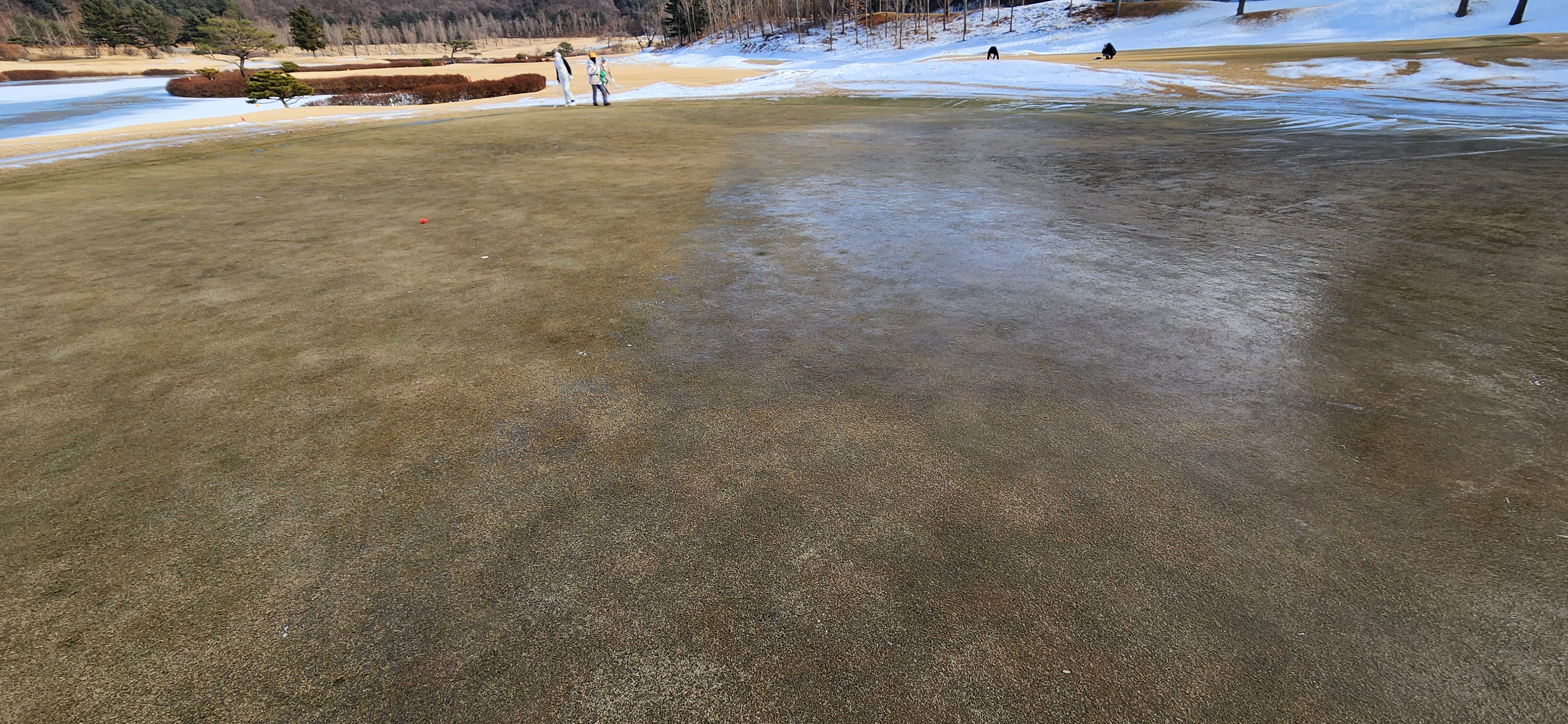 레이크사이드cc