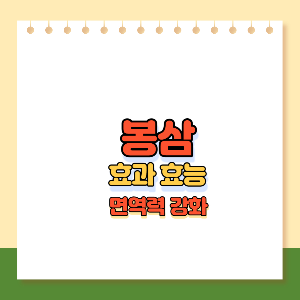 봉삼 메인