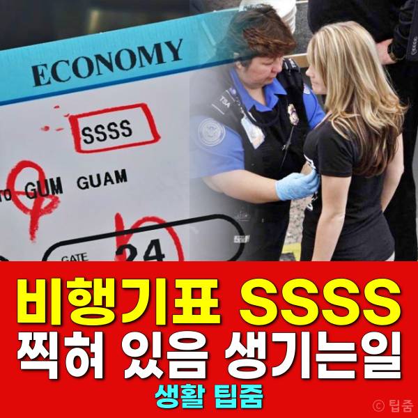 항공권 SSSS 비행기표 SSSS 표시