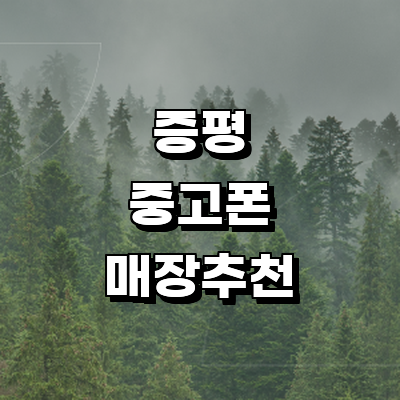 증평군 중고폰