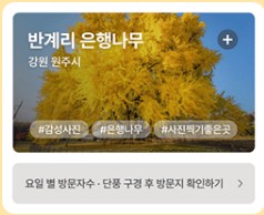 단풍여행지 추천