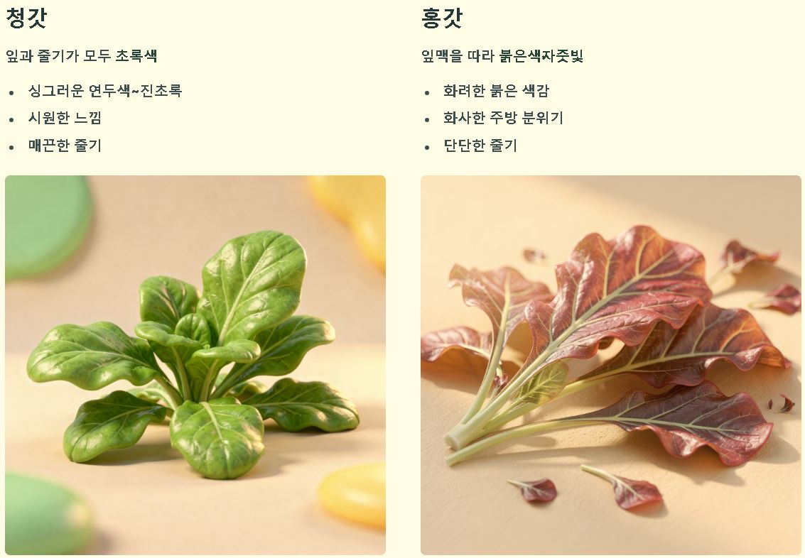 청갓 홍갓 차이 특징비교