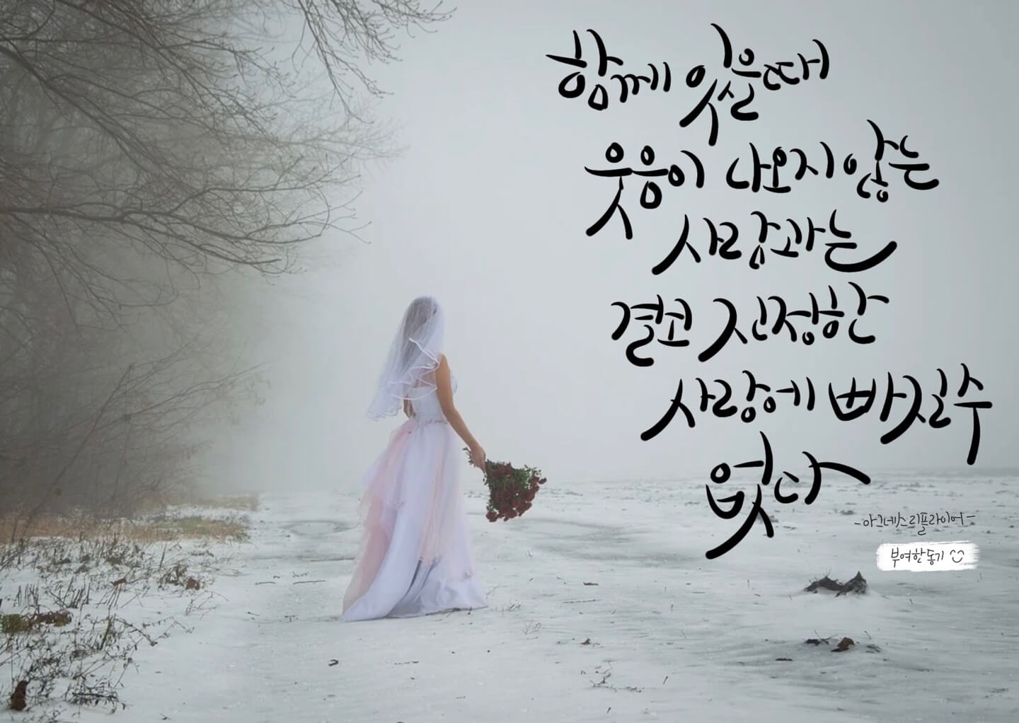 아그네스 리플라이어