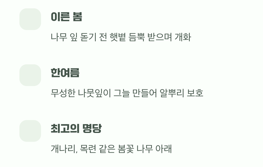 의외의 파트너&amp;#44; 나무와 관목