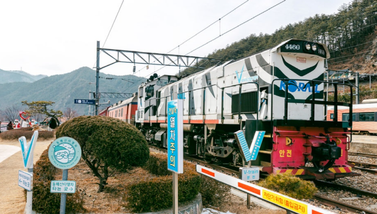 백두대간 협곡열차