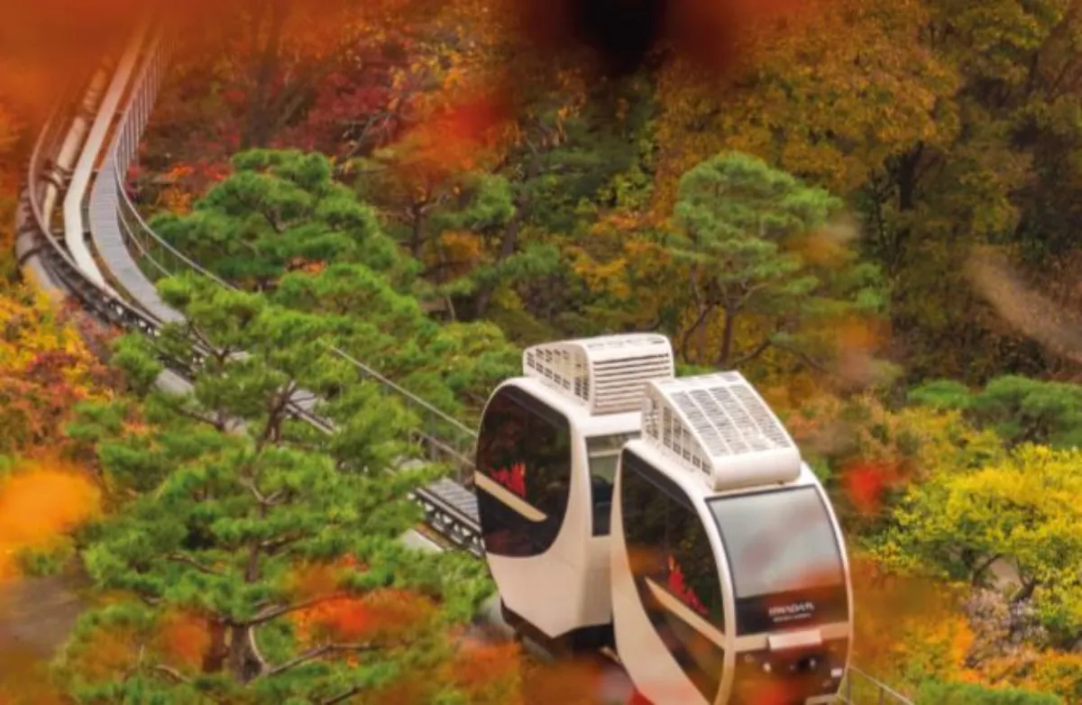 화담숲 모노레일 사진