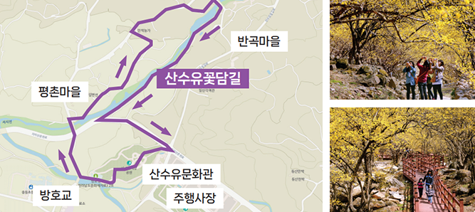 구례 산수유 축제 프로그램