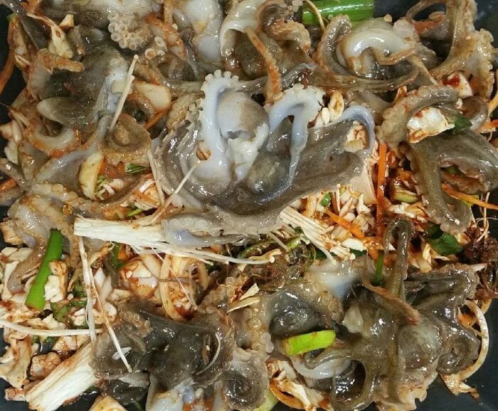 대전 세종 충청 4월 축제 일정