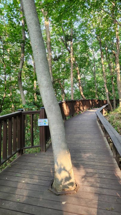 사방댐으로 가는 이정표와 데크길