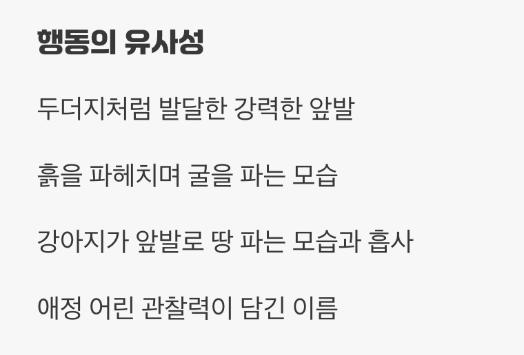 두 번째 비밀, '땅 파는 모습'