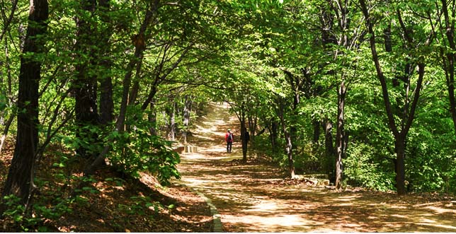심학산 둘레길